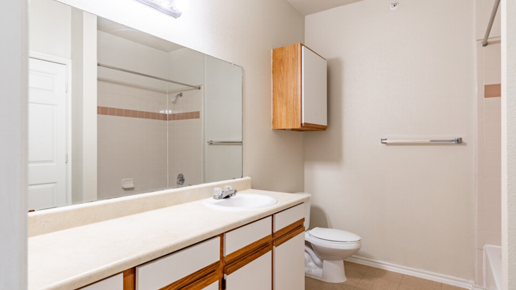 a bathroom with a toilet and a sink and a mirror
