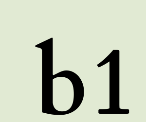 B1