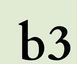 B3