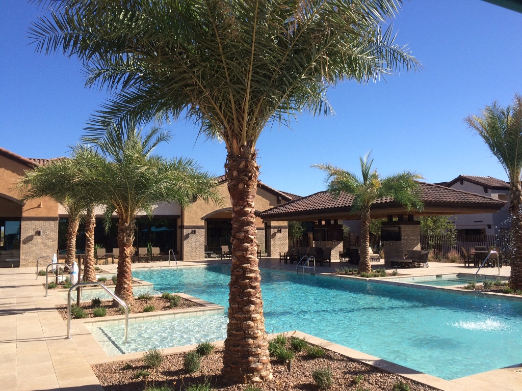 a swimming pool with palm trees in front of a house