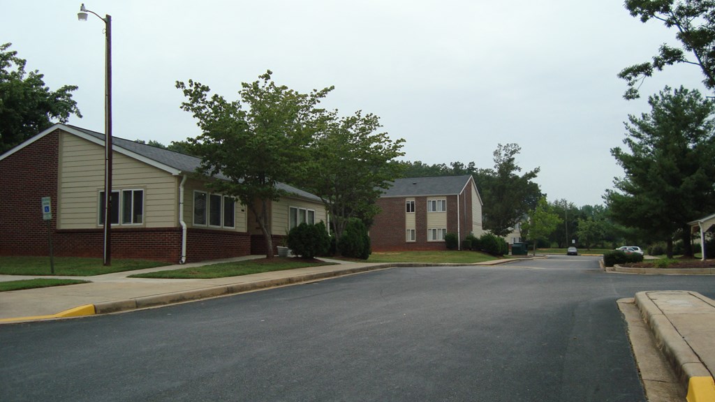 the street in front of our house