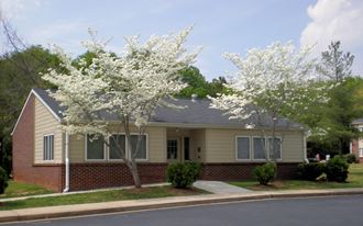 a house with two flowering trees in front of it