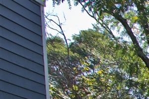 Brook Creek Apartments Reviews Brook Creek Apartments Reviews