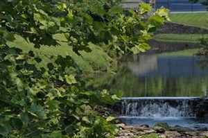 Apartments For Rent In Tates Creek Lexington Ky Apartments For Rent In Tates Creek Lexington Ky