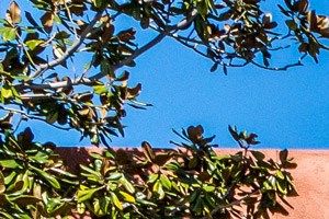 Rent Apartments In Dallas Tx From 460 Rentcafé