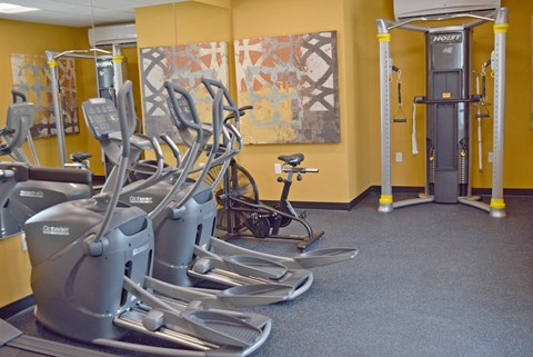 a gym with cardio equipment and a bike in it