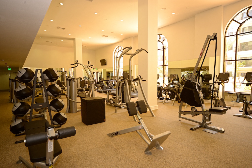a gym with weights and cardio equipment in a large room