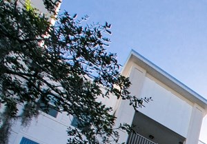 Lexington Court 315 W. Concord Street 1-3 Beds Apartment for Rent - Photo Gallery 3