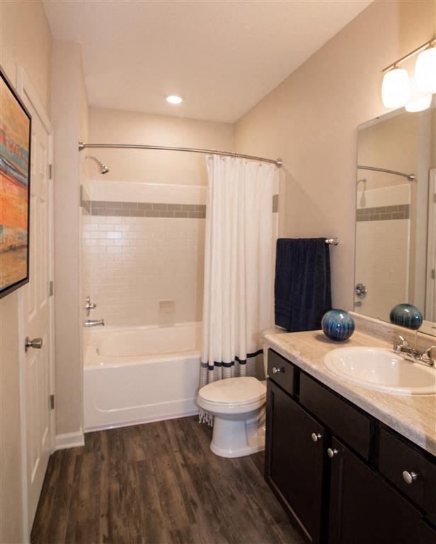 stylish bathroom: sink, toilet, and shower