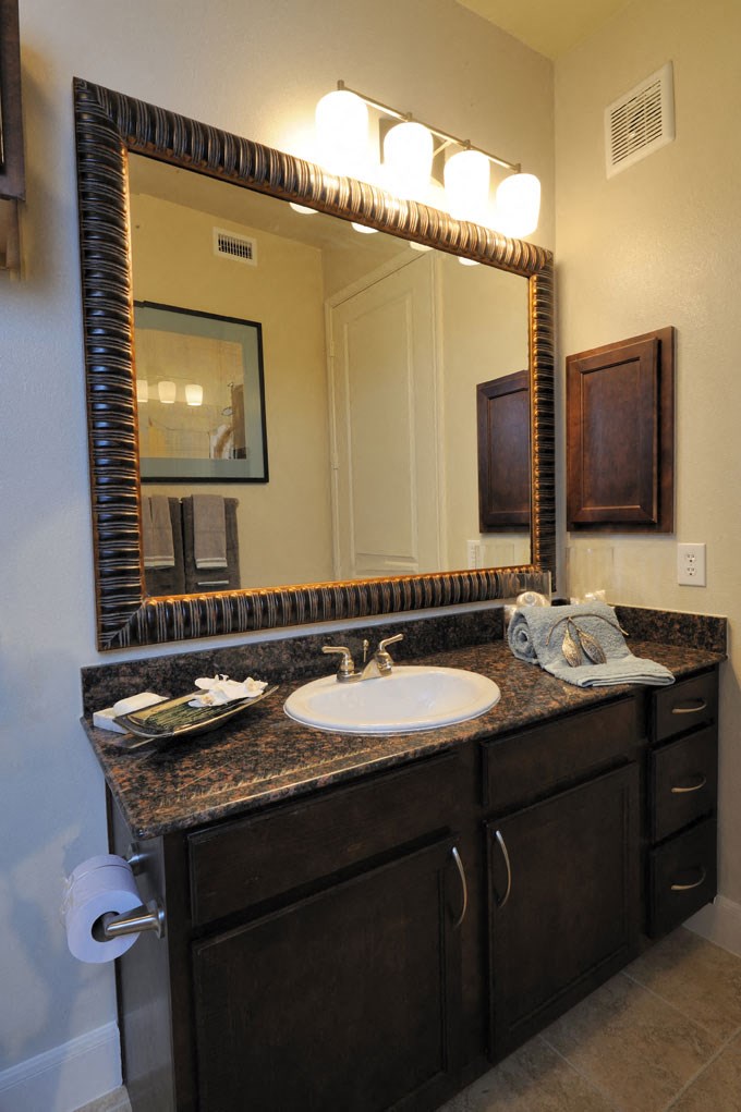 a bathroom with a sink and a large mirror
