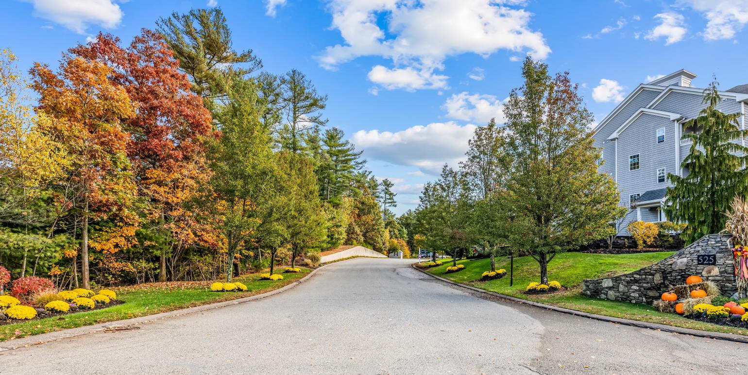 a street with a house and trees on both sides of it