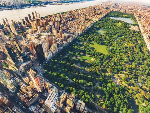 an aerial view of the park and the city