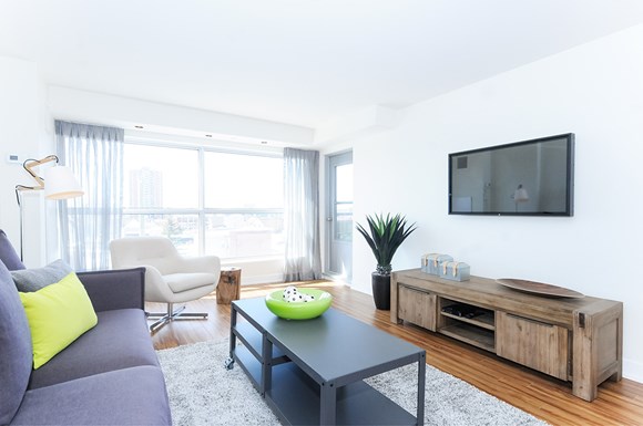 Dog Friendly Apartments For Rent Ottawa Dog Friendly Apartments For Rent Ottawa