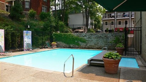 A small pool with a diving board and a potted plant.