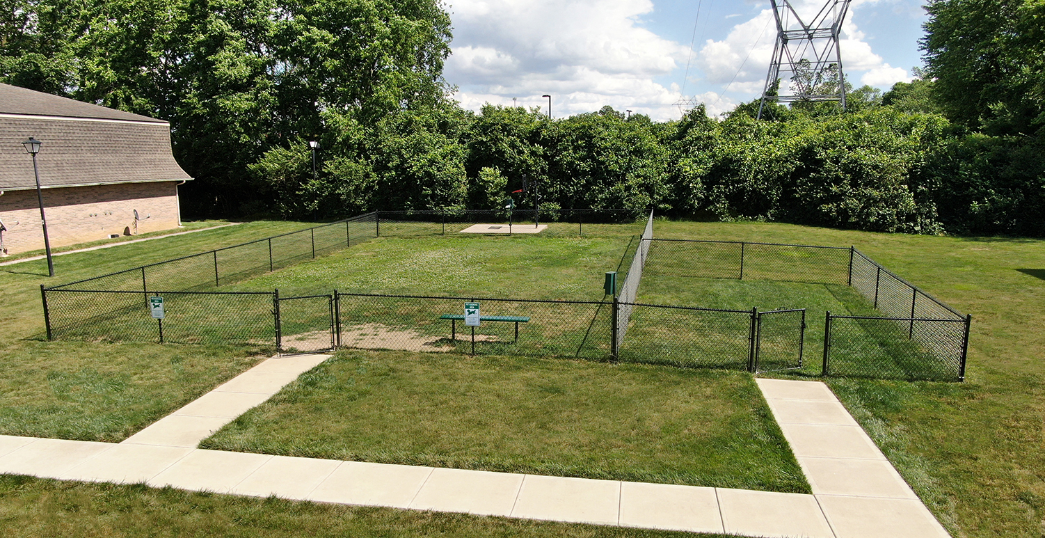 dog park