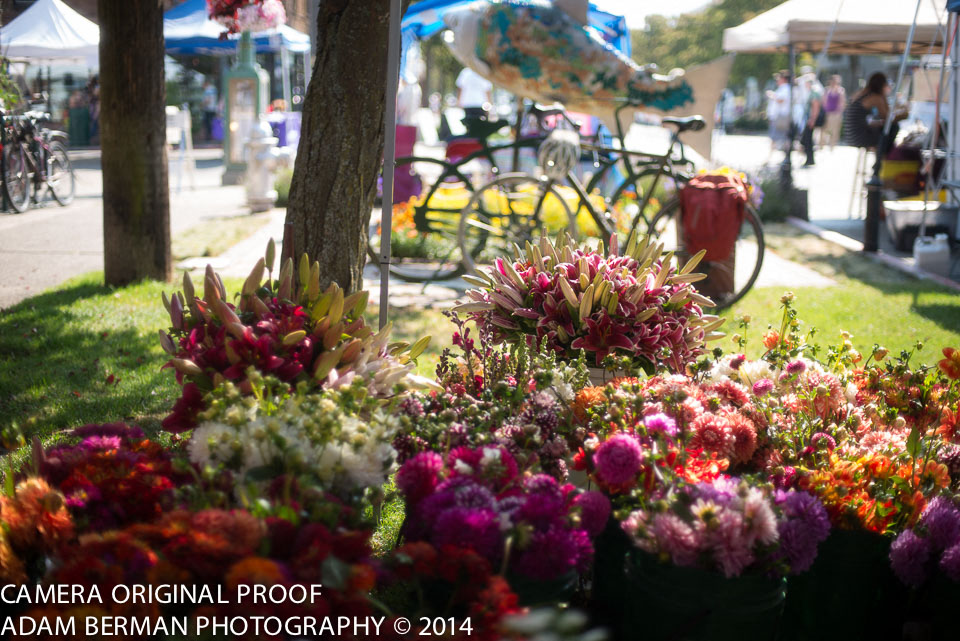 Proctor Station Apartments