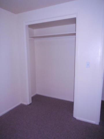 a white room with a closet and a gray carpet