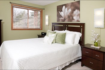 920 Feltl Court 1-3 Beds Apartment for Rent - Photo Gallery 3