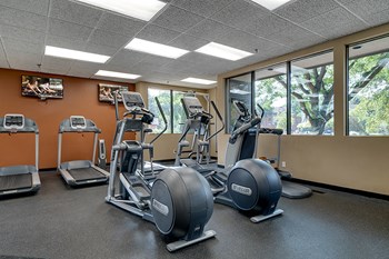 920 Feltl Court 1-3 Beds Apartment for Rent - Photo Gallery 5