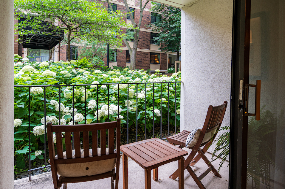 Outdoor patio with wooden chairs facing tall fauna