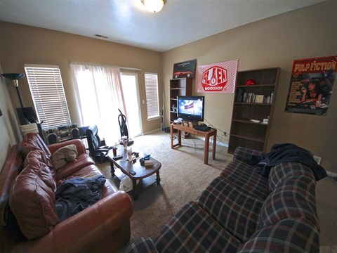 a living room with couches and a tv