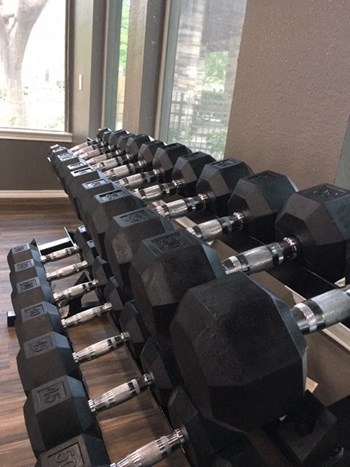 Free weights - Photo Gallery 15
