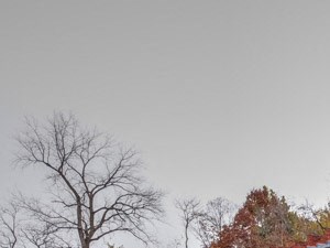 Tarpis Woods Apartments 3620 3642 Tarpis Avenue Cincinnati Oh