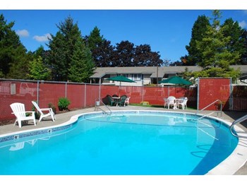 14205 SE 4th Street 1-3 Beds Apartment for Rent - Photo Gallery 4