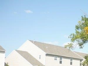grassy area and landscaping - Photo Gallery 6