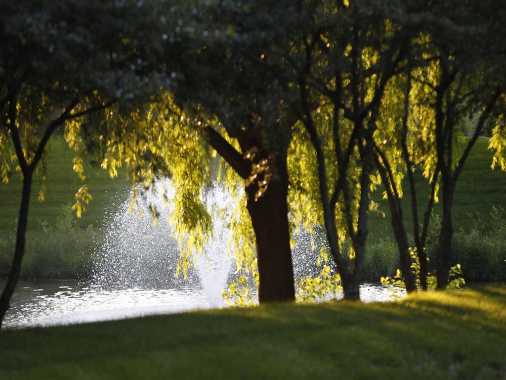 Ponds and fountain