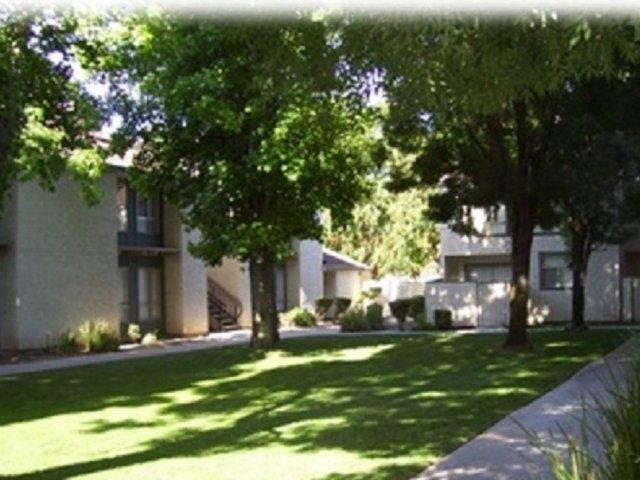 Sundance units and landscaping