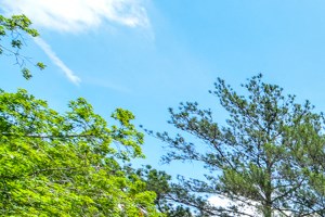 Well maintained buildings and landscaping | Riverdale, GA 30274