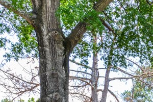 Well maintained buildings and landscaping | Riverdale, GA 30274
