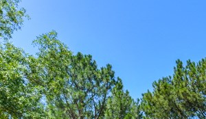Maplewood Pointe Apartment Homes Clubhouse | Jonesboro, GA 30236