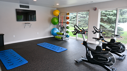 an indoor gym with exercise equipment and a tv