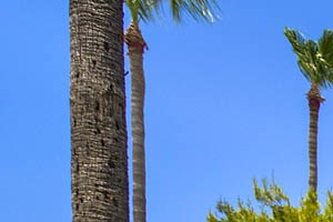 Photos And Video Of Country Park Villas In Mesa Az