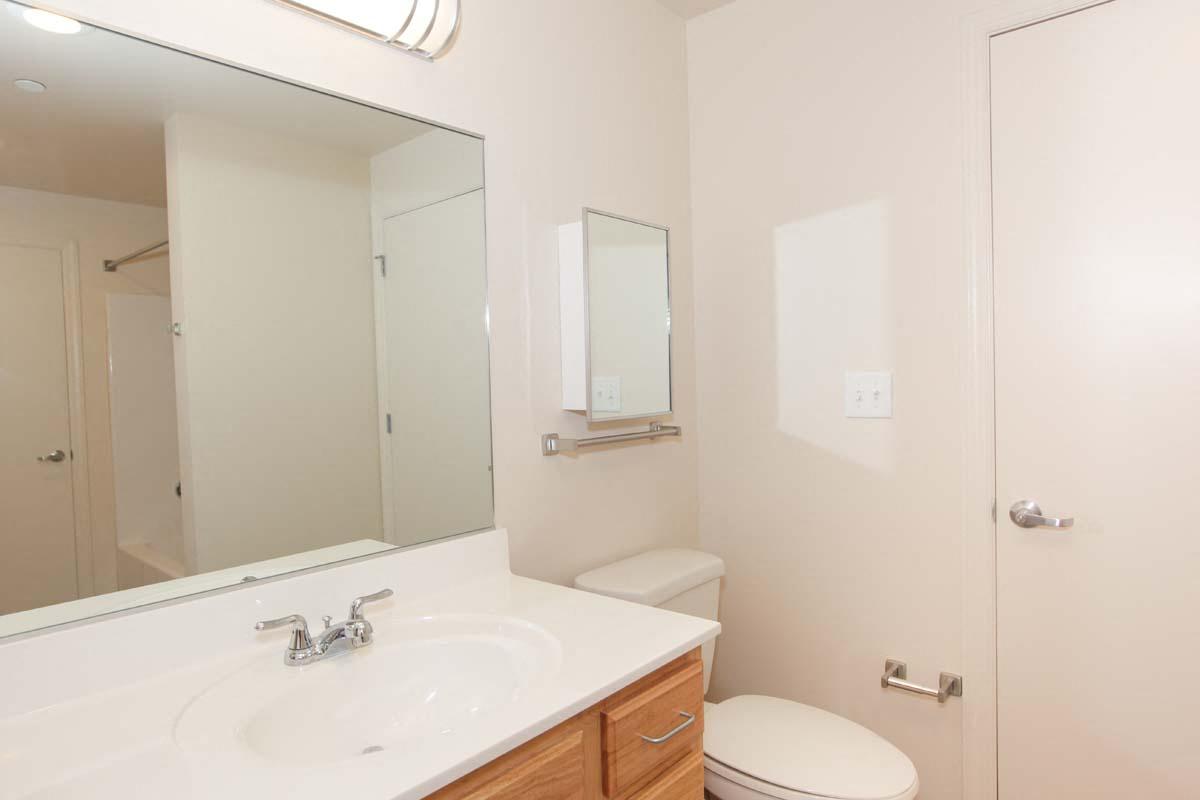a bathroom with a sink and a toilet and a mirror