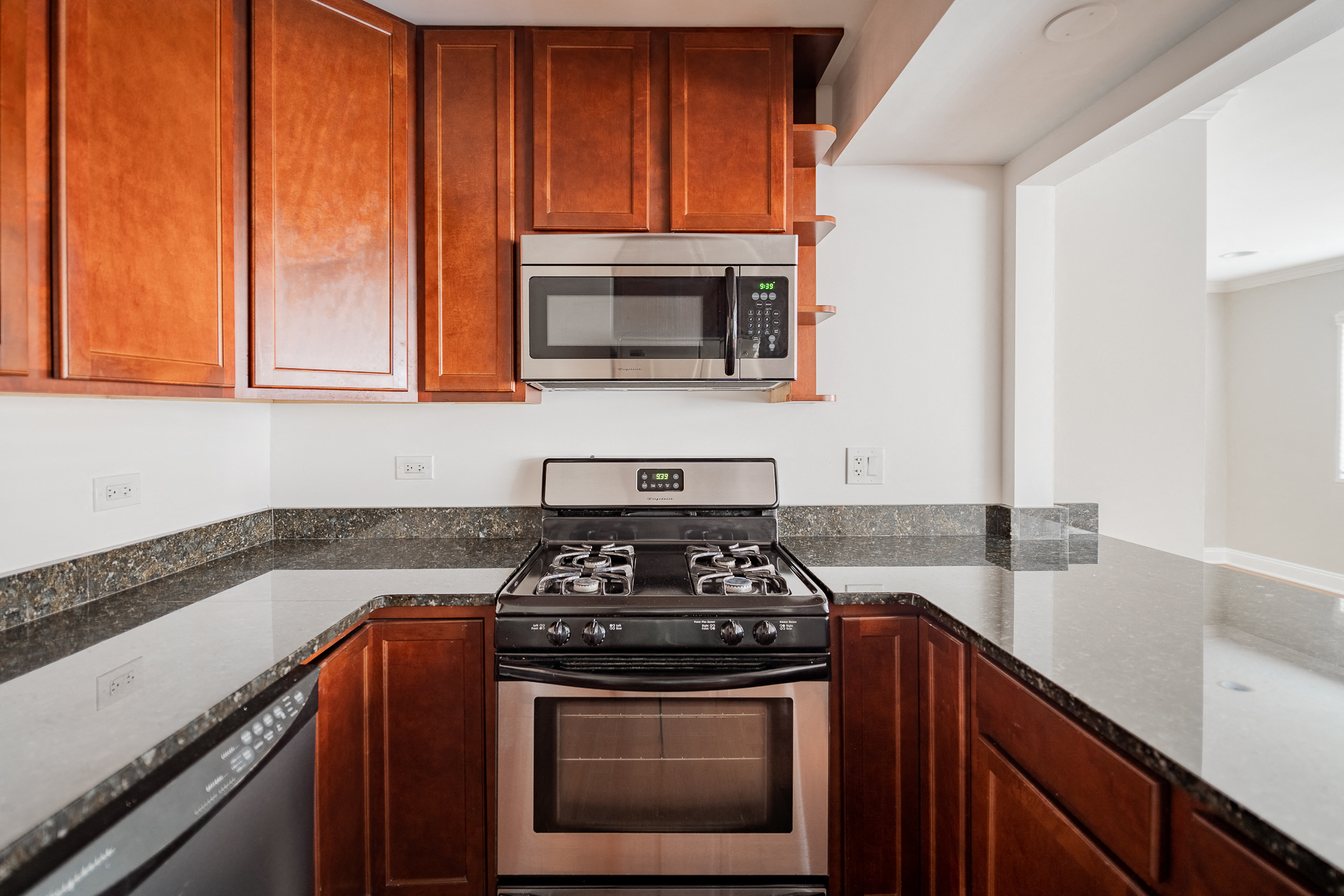 Updated Kitchen - #101