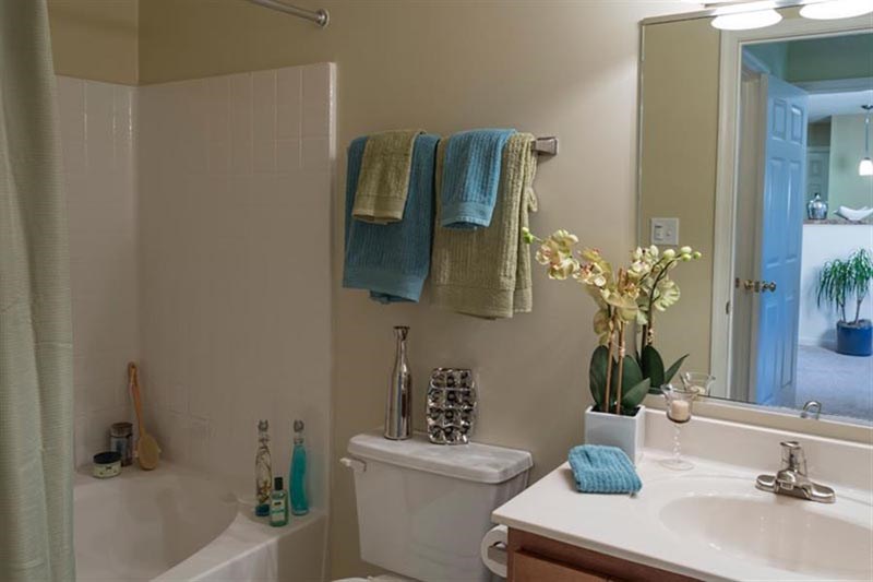 a bathroom with a toilet and a sink and a mirror