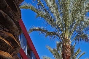 The Marke Apartments 100 E Macarthur Blvd Santa Ana