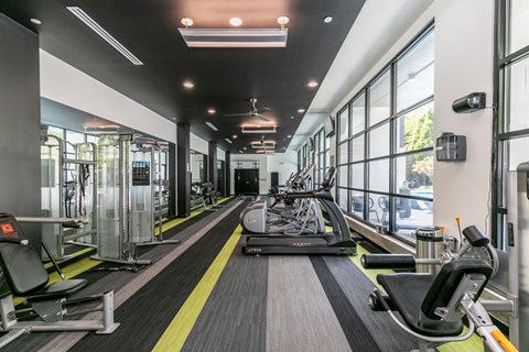 A gym with treadmills, weights, and exercise equipment.