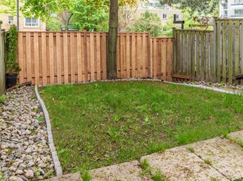 57-93 Balliol Street 2-3 Beds Townhouse for Rent - Photo Gallery 3