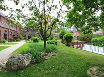57-93 Balliol Street 2-3 Beds Townhouse for Rent - Photo Gallery 5