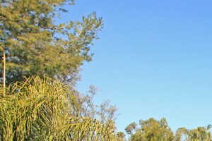 Cheap Apartments In Escondido Cheap Apartments In Escondido