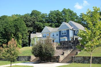Beautiful Landscaping