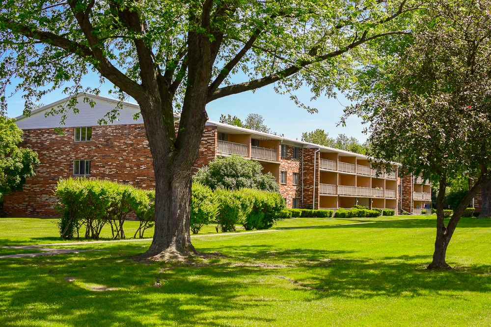 a large tree in front of an apartment building