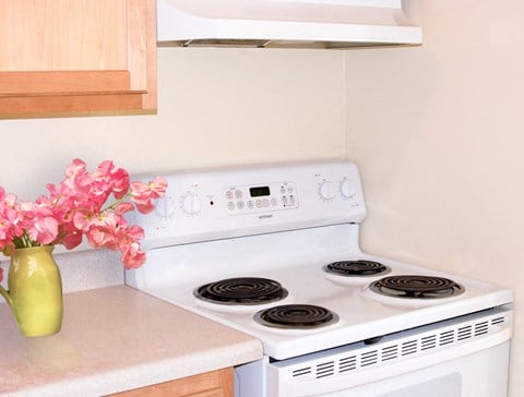 a kitchen with a stove and a vase with pink flowers