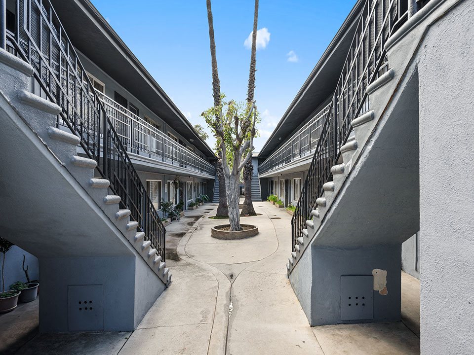 Photos and Video of Westland Daisy in Long Beach, CA