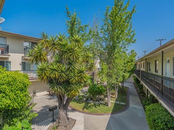 courtyard