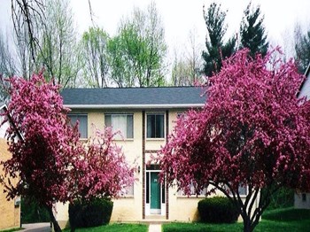 242 D Leslie Lane 2 Beds Apartment for Rent - Photo Gallery 2
